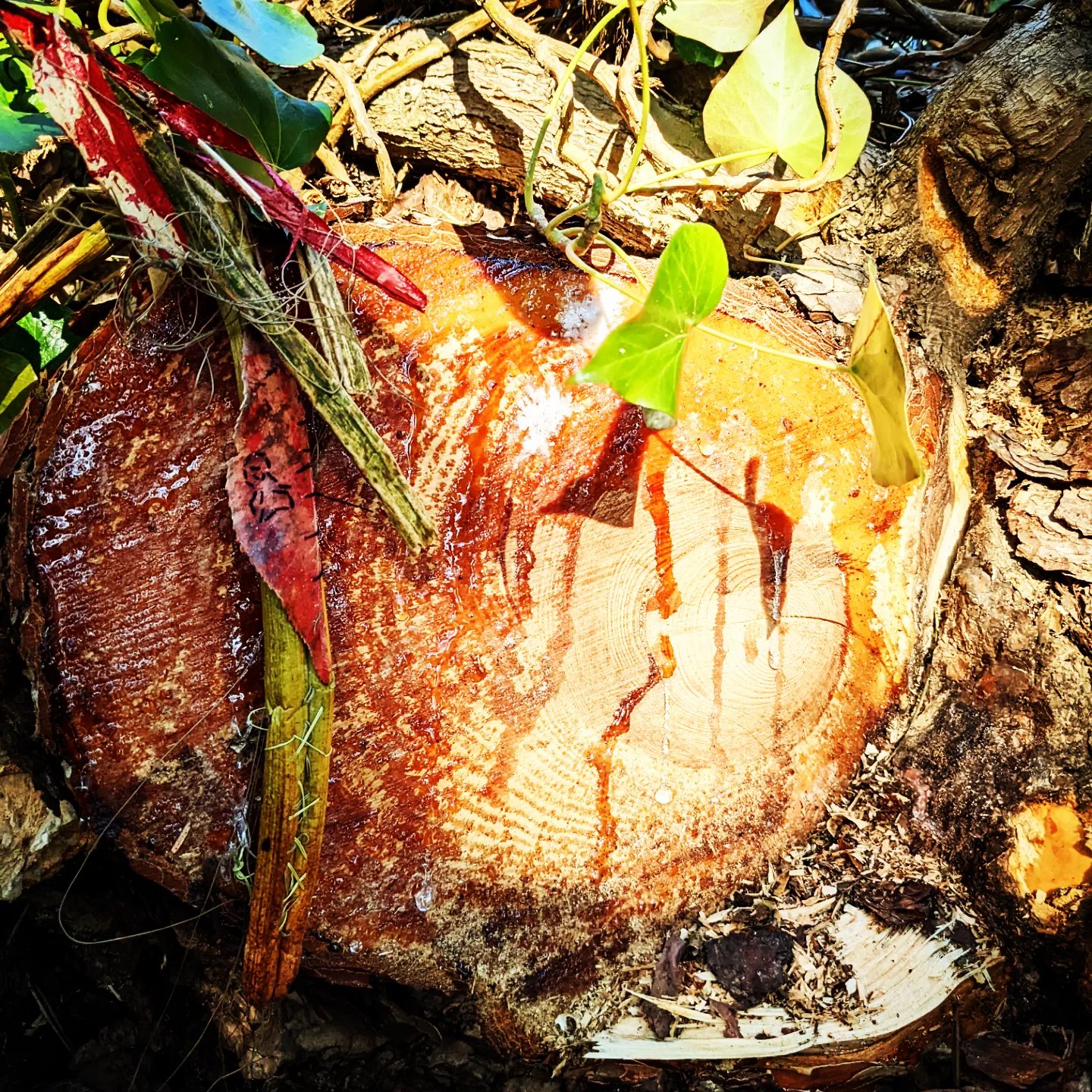 This image has an empty alt attribute; its file name is wp-1646295209415919960699852202409.jpg